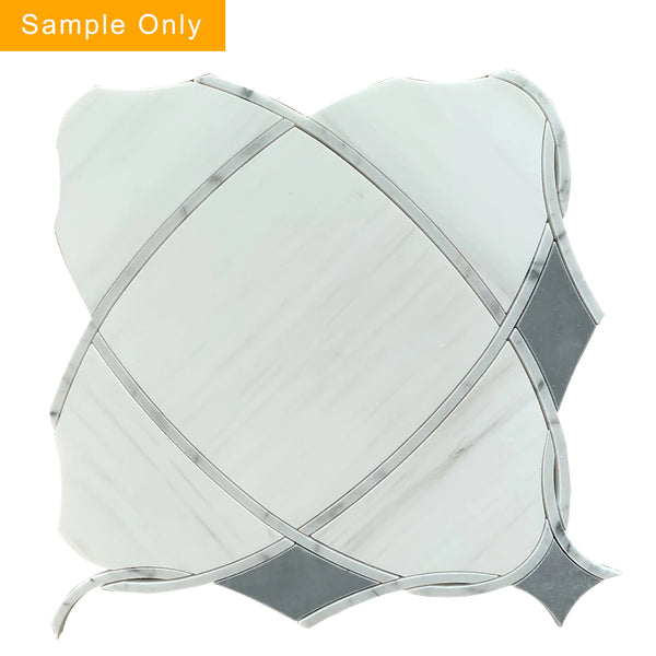 Astral White Dolomite & Palissandro Polished Waterjet Mosaic Floor and Wall Tile - Sample (Product Shown is Full Size)