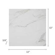 Calacatta 12-in x 12-in Polished Marble Floor and Wall Tile( 10 sq. ft. /Box )