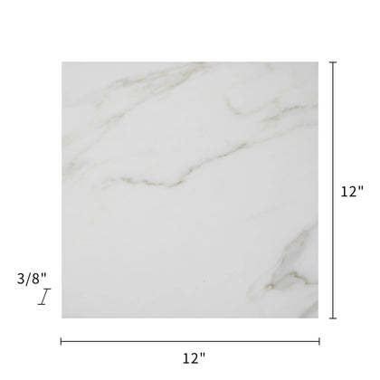 Calacatta Polished Marble Floor and Wall Tile - Sample (Product Shown is Full Size)