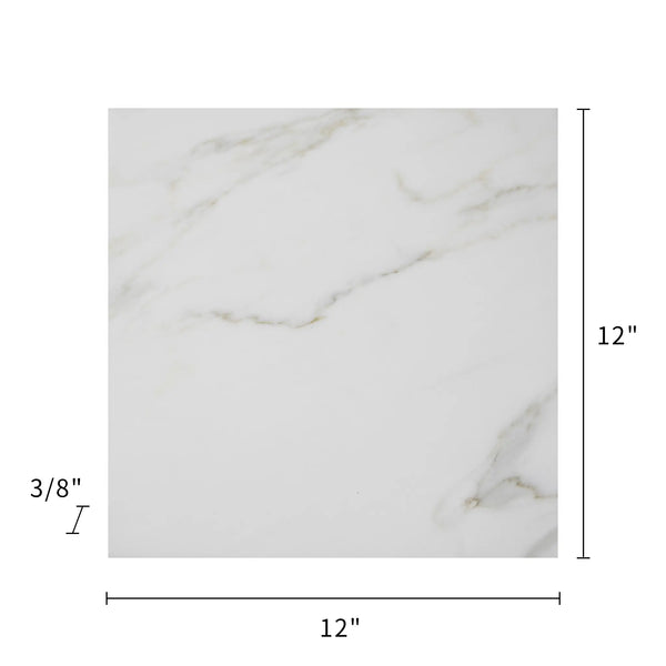 Calacatta 12-in x 12-in Polished Marble Floor and Wall Tile( 10 sq. ft. /Box )