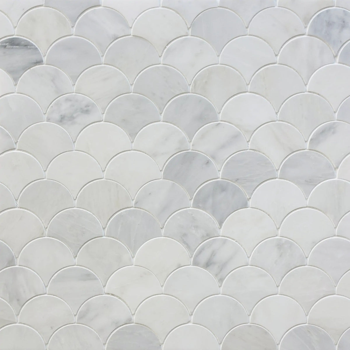 12-in x 12-in Polished Oriental White Shell Marble Mosaic Wall Tile( 5 sq. ft. /Box )