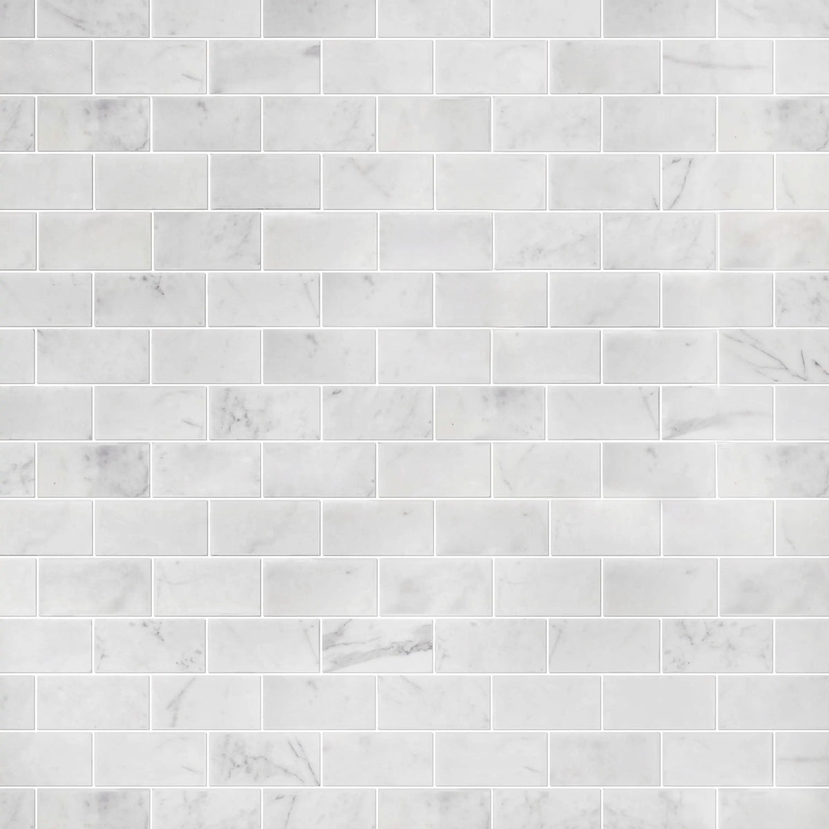 Calacatta Polished Marble Mosaic Floor and Wall Tile - Sample (Product Shown is Full Size)