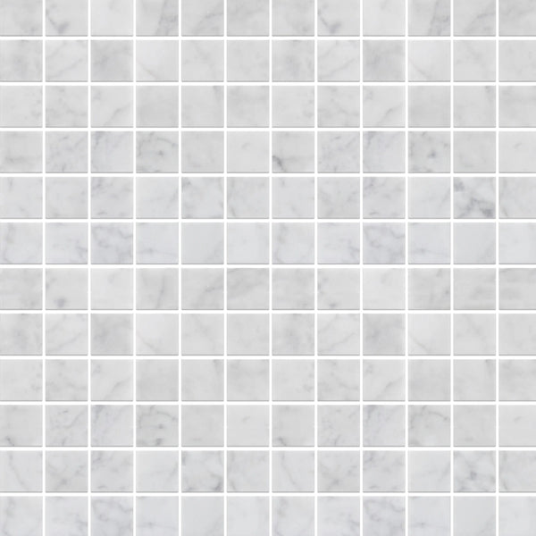 Carrara White 12-in x 12-in Polished Marble Mosaic Floor and Wall Tile( 5 sq. ft. /Box )