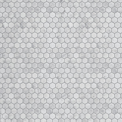1-in Carrara White Hexagon 12-in x 11-in Polished Marble Mosaic Floor and Wall Tile( 4.6 sq. ft. /Box )