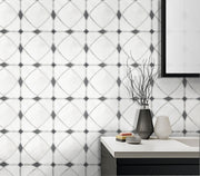 Astral White Dolomite & Palissandro 12-in x 12-in Polished Waterjet Mosaic Floor and Wall Tile( 5 sq. ft. /Box )