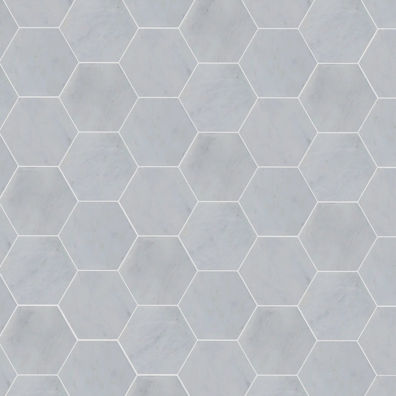 6-in Oriental White Hexagon 12-in x 10-in Honed Mosaic Wall Tile ( 4.15 sq. ft. /Box )