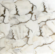 Calacatta Gold Marble Organic Geode 12-in x 11-in Waterjet Mosaic Wall Tile( 4.6 sq. ft. /Box )