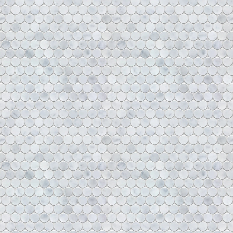 1-in Carrara Honeycomb 12-in x 12-in Polished Marble Mosaic Floor and Wall Tile( 5 sq. ft. /Box )