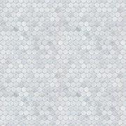1-in Carrara Honeycomb 12-in x 12-in Polished Marble Mosaic Floor and Wall Tile( 5 sq. ft. /Box )