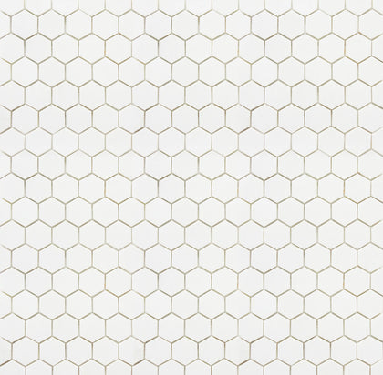 2-in Thassos White Hexagon 12-in x 12-in Polished Marble Mosaic Floor and Wall Tile ( 5 sq. ft. /Box )