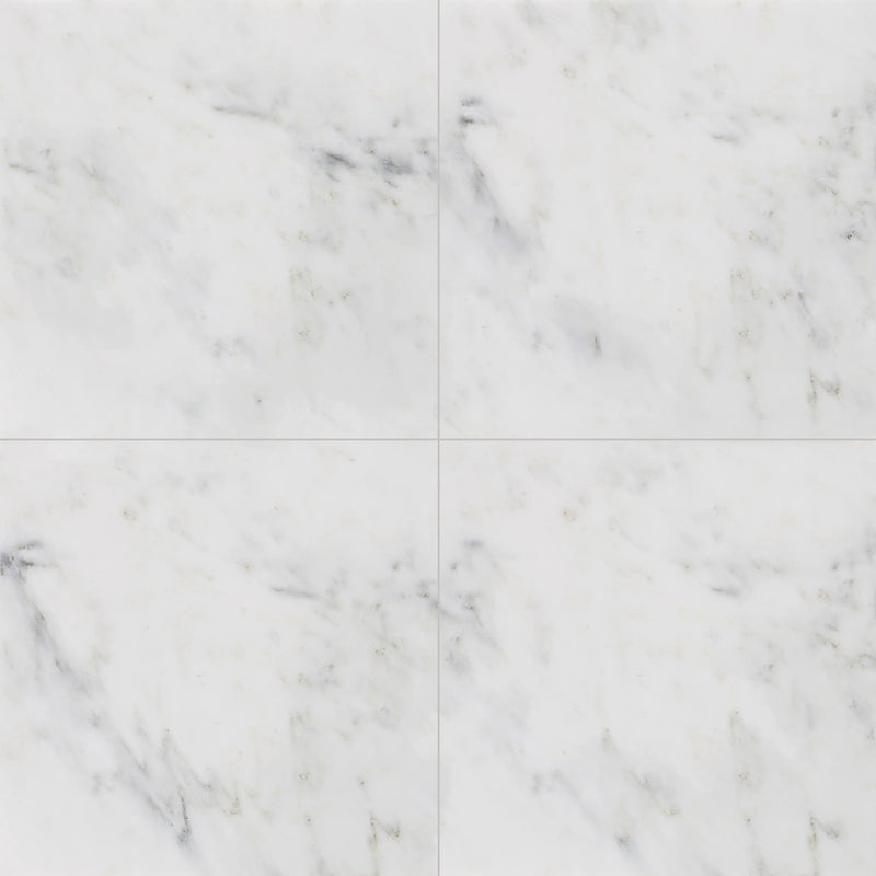Oriental White 12-in x 12-in Marble Floor and Wall Tiles( 10 sq. ft. /Box )