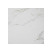 Calacatta 12-in x 12-in Polished Marble Floor and Wall Tile( 10 sq. ft. /Box )