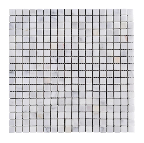 Calacatta 12-in x 12-in Polished Marble Mosaic Floor and Wall Tile(1-sq. ft/ Piece)