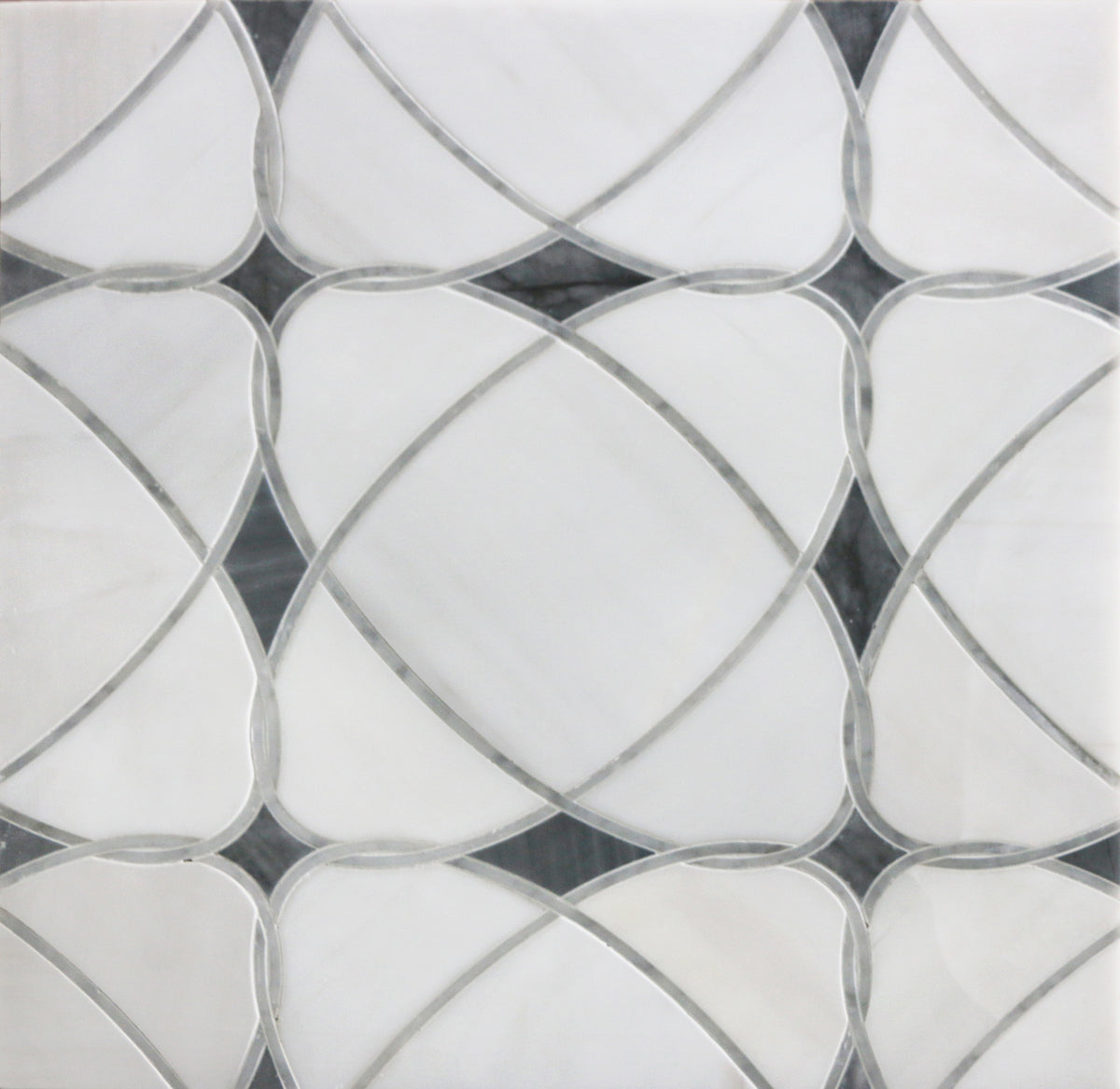 Astral White Dolomite & Palissandro 12-in x 12-in Polished Waterjet Mosaic Floor and Wall Tile( 5 sq. ft. /Box )