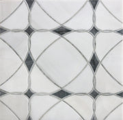 Astral White Dolomite & Palissandro 12-in x 12-in Polished Waterjet Mosaic Floor and Wall Tile( 5 sq. ft. /Box )