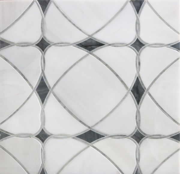 Astral White Dolomite & Palissandro 12-in x 12-in Polished Waterjet Mosaic Floor and Wall Tile( 5 sq. ft. /Box )