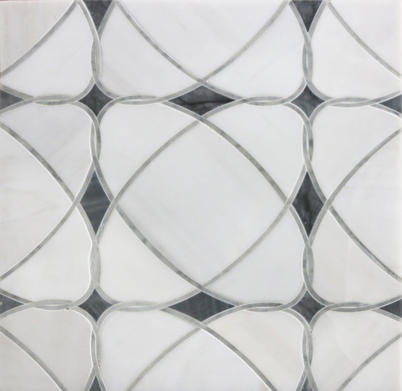 Astral White Dolomite & Palissandro 12-in x 12-in Polished Waterjet Mosaic Floor and Wall Tile( 5 sq. ft. /Box )
