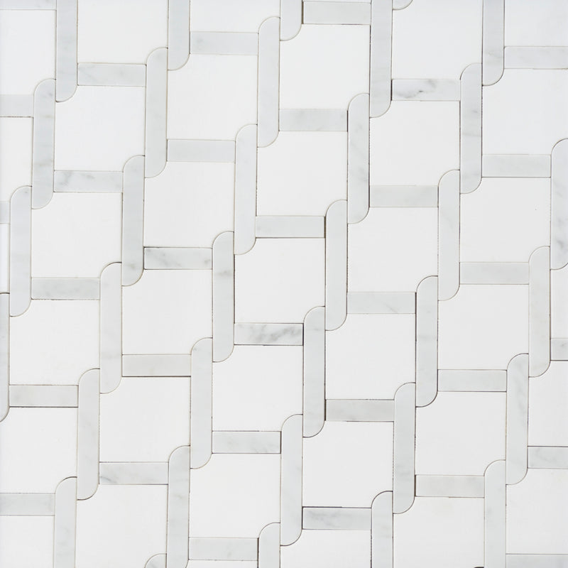 Thassos White & Carrara White 9-in x 9-in Waterjet Mosaic Floor and Wall Tile( 2.7 sq. ft. /Box )