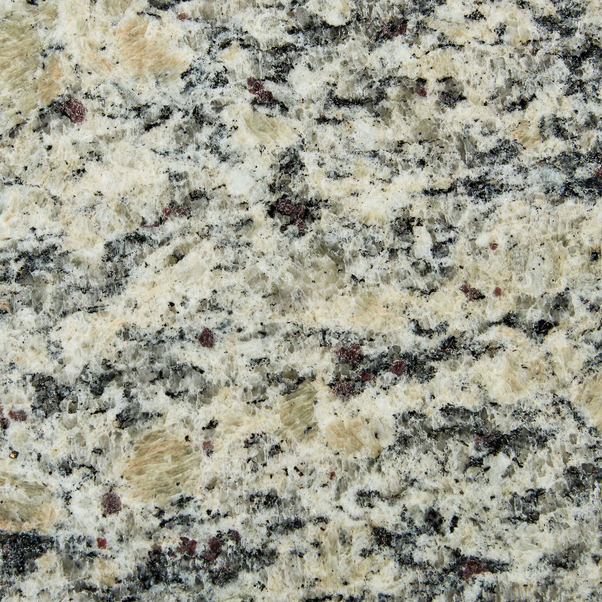 49" Santa Cecilia Light Granite Vanity Top with Sink