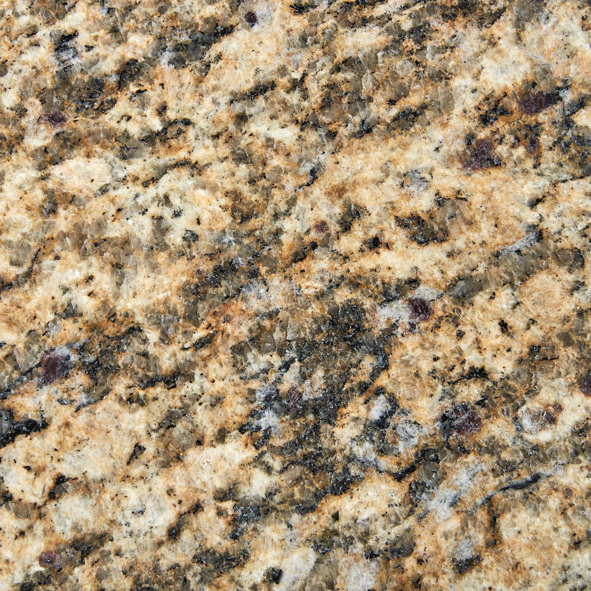 31" Santa Cecilia Granite Vanity Top with Sink